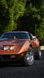 1976 Chevrolet Corvette Stingray T-Top - 35k mile