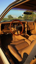 1986 Zimmer Golden Spirit - 24k mile