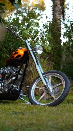 2010 Chopper Bull Yaffe - 1 Of 1 In The World
