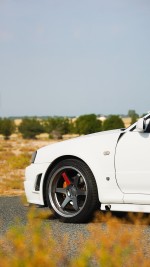 1999 Nissan Skyline GT-R - 114k km