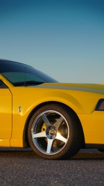 2003 Ford Mustang SVT Cobra Terminator Coupe - 86k mile