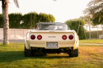 1981 Chevrolet Corvette T-Top - 28k mile