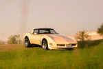 1981 Chevrolet Corvette T-Top - 28k mile