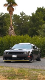 2022 Dodge Challenger SRT Hellcat Redeye Widebody - 5,913 km