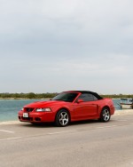 2003 Ford Mustang SVT Cobra Convertible - 22k mile