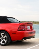 2003 Ford Mustang SVT Cobra Convertible - 22k mile