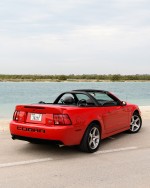 2003 Ford Mustang SVT Cobra Convertible - 22k mile