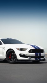 2019 Ford Mustang Shelby GT350 - 31k km