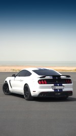 2019 Ford Mustang Shelby GT350 - 31k km