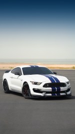 2019 Ford Mustang Shelby GT350 - 31k km