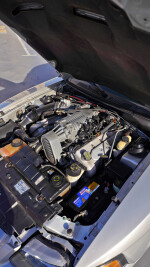 2004 Ford Mustang SVT Cobra Coupe - 33k mile