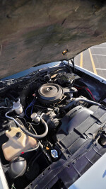 1984 Buick Electra Park Avenue - 117k km