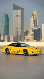 2002 Pontiac Firebird Trans Am Collector Edition - 26k km