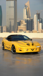 2002 Pontiac Firebird Trans Am Collector Edition - 26k km