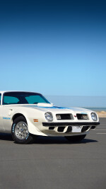 1975 Pontiac Firebird Trans Am - fully restored