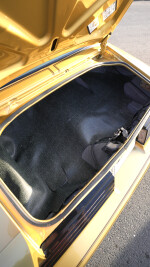 1978 Pontiac Firebird Trans Am T-Tops - 72k km