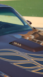 1977 Pontiac Firebird Trans Am 400 - 99k mile