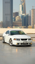 2004 Ford Mustang Cobra SVT Terminator Coupe - 87k mile