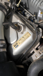 2004 Ford Mustang Cobra SVT Terminator Coupe - 87k mile